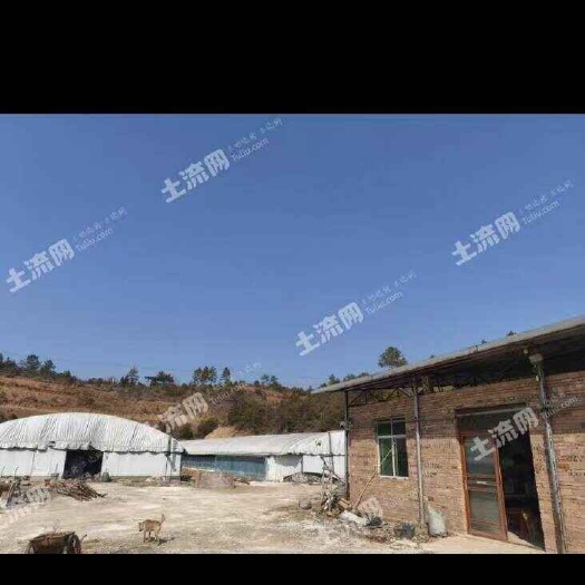 江西赣州有一20亩养鸭大棚，现在想转让出售。