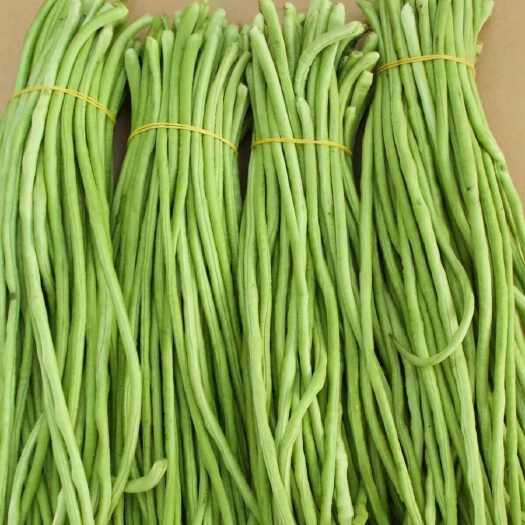 5斤江苏现摘现发长豆角5斤新鲜蔬菜新鲜嫩豇豆青豆角可腌制