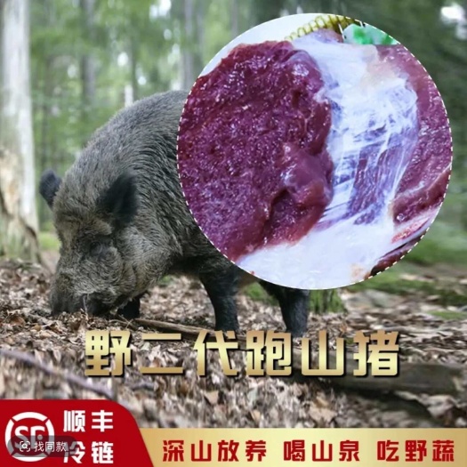 广东清远新鲜二代跑山猪肉 精选优质食材