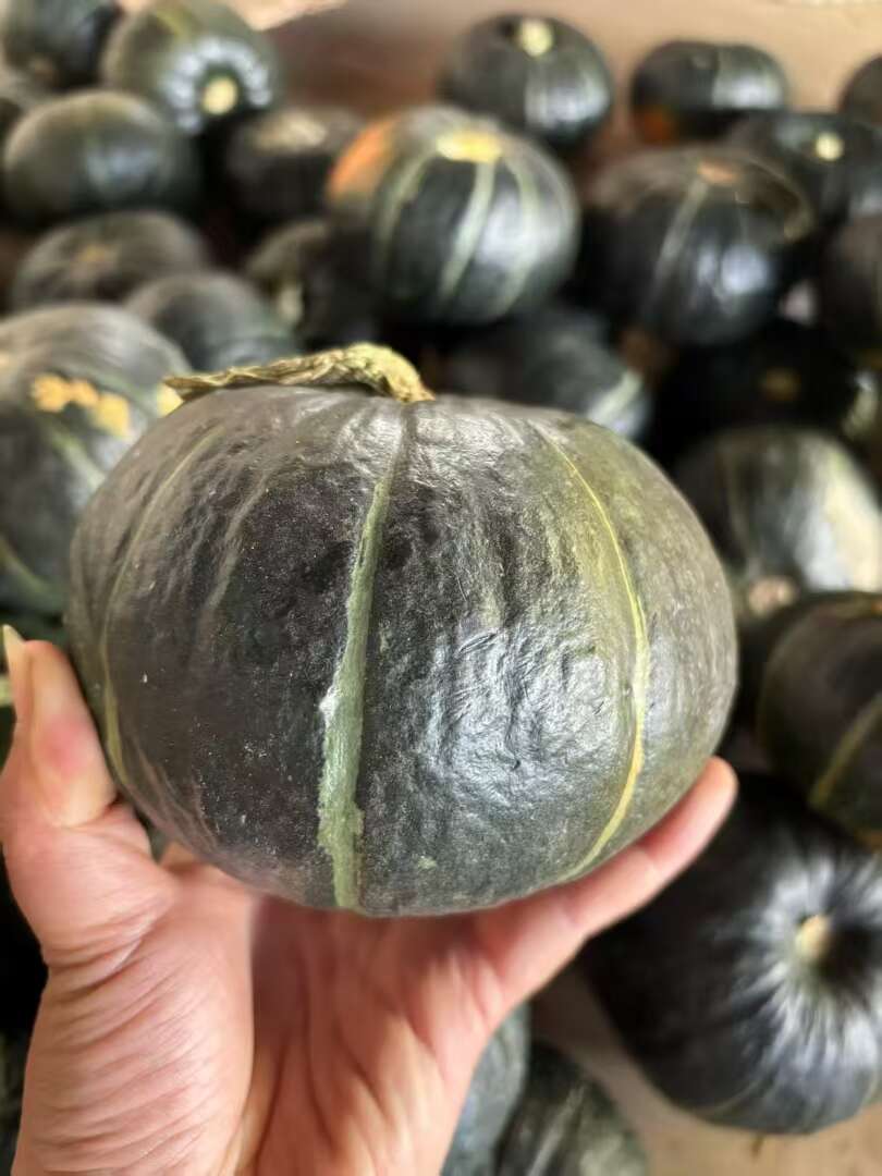 贝贝南瓜