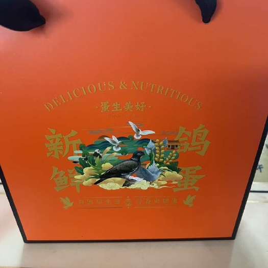 专业鸽子养殖场纯粮食喂养鸽子蛋