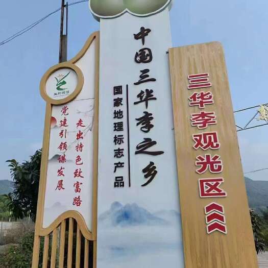 翁源县翁源三华李开园了