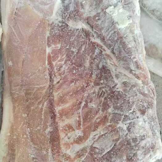郑州肥猪带皮大五花   11+  河南  5-6吨  24年货