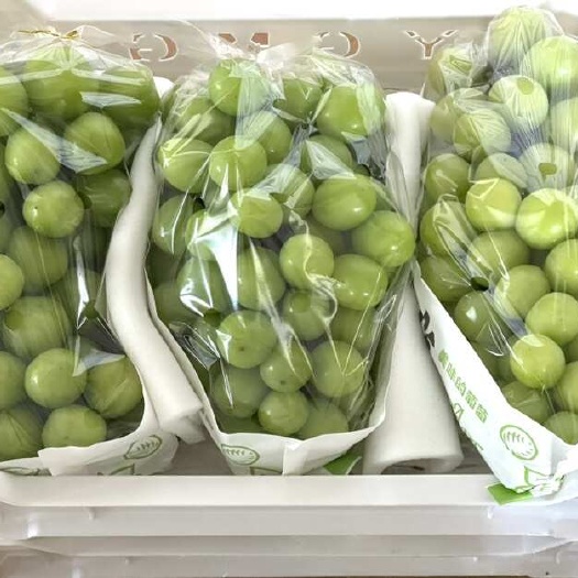 建水县一口阳光 ，一口美味除了惊艳，便是沦陷无壳皮薄，甜而不腻