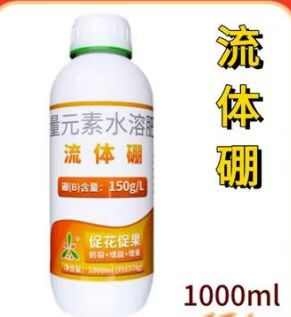 潍坊流体硼水溶肥补充营养促花保果促授粉易吸收