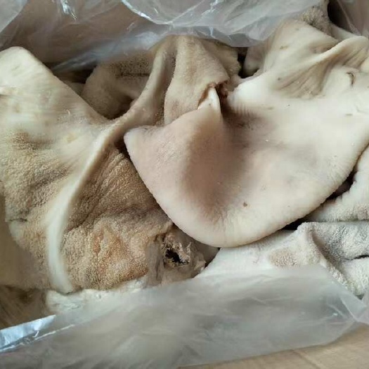 新乐市小牛肚