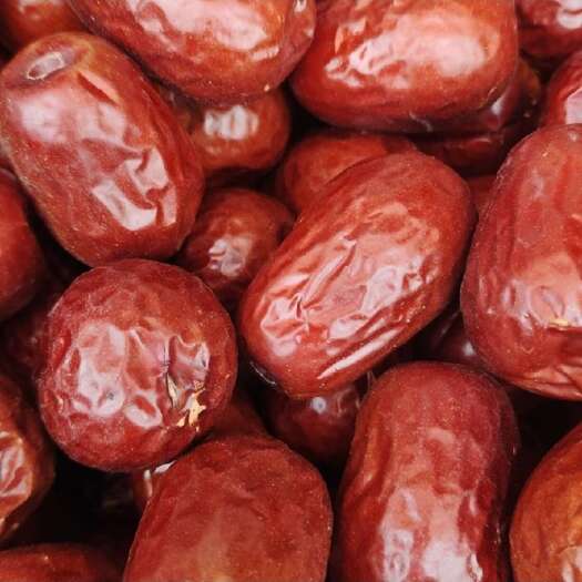 原平市新疆无核枣