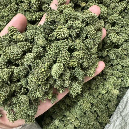 三七花田七花新货文山三七花泡水养生茶