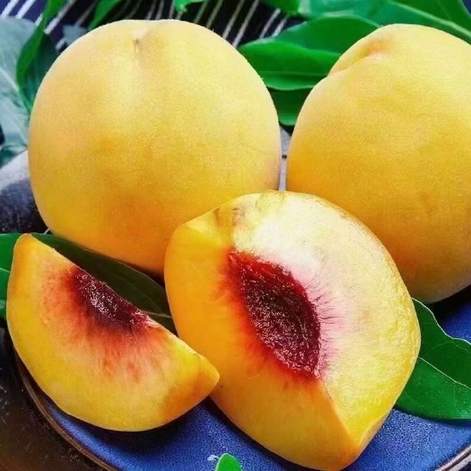 汝城县黄桃