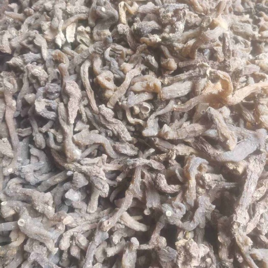 陇西县鸡头黄精