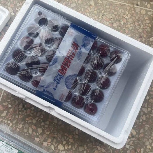 靖州县靖州杨梅