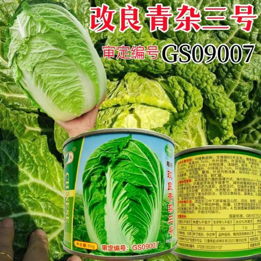 宿迁改良青杂三号大白菜种子 中晚熟生育期85天左右