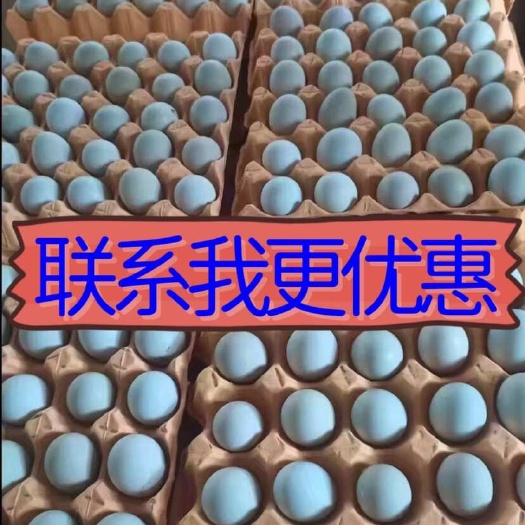 京山市富硒绿壳蛋 五黑乌鸡蛋 山林散养绿壳蛋 无抗土鸡蛋 包邮