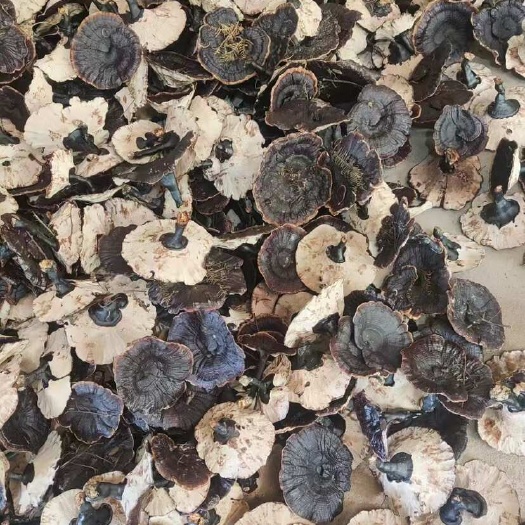 昆明产地直销一手货源