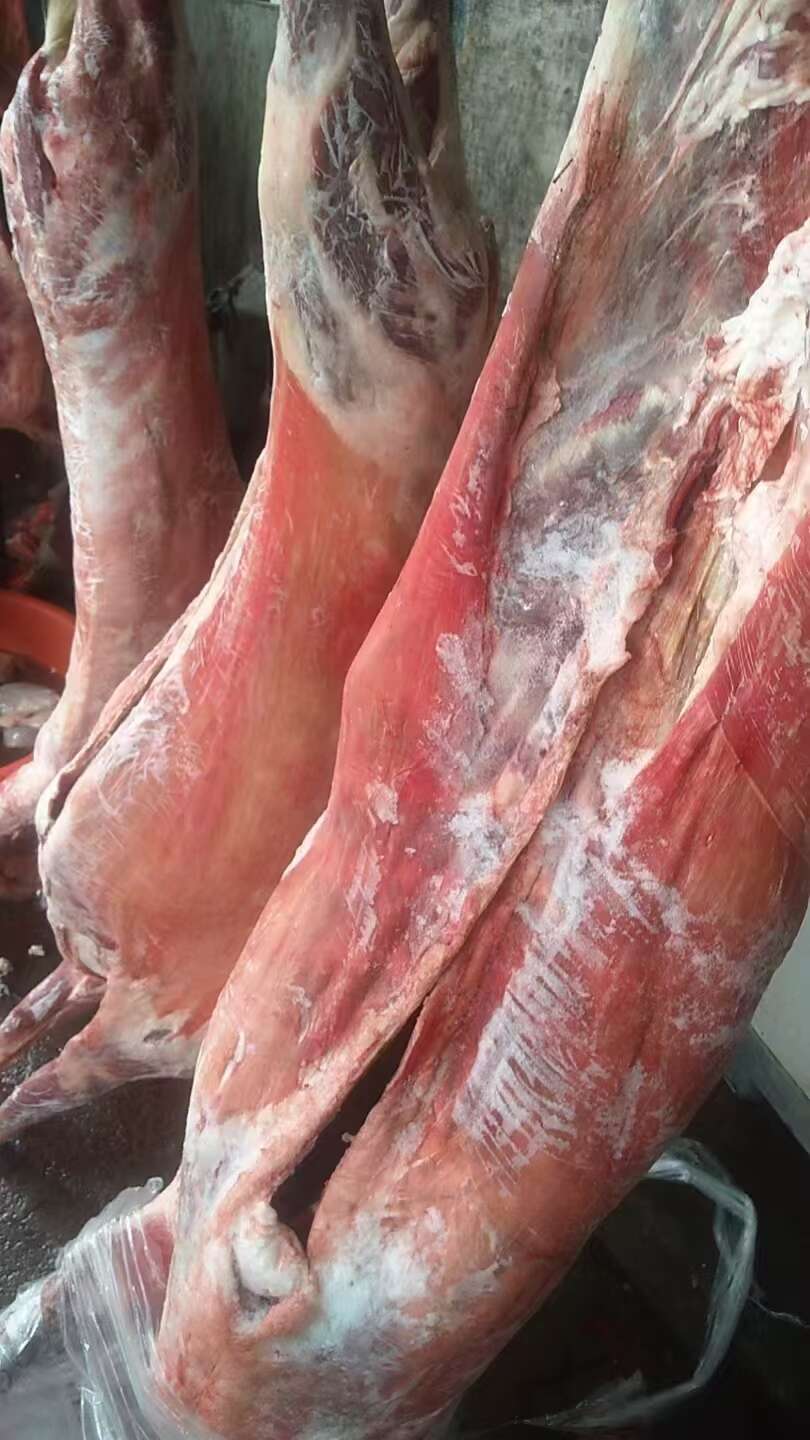 内蒙鲜冻羊酮体去皮，白条羊，羊腔子，烤全羊规格齐全纯干货