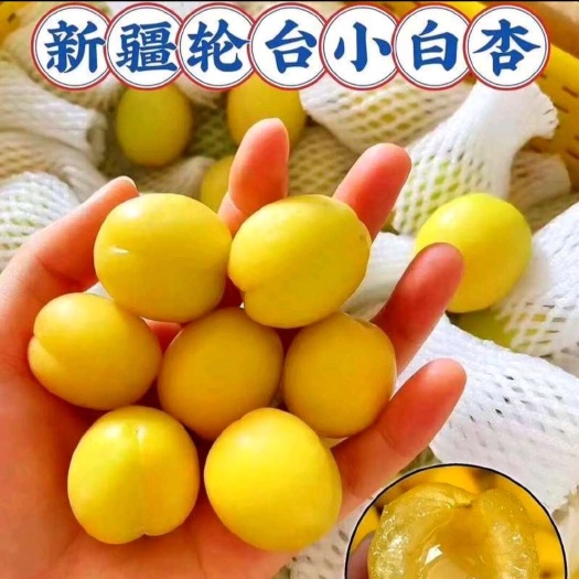果肉雪白，像蜂蜜一样甜，是新疆人赞不绝口的特色水果。