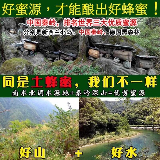 淳化县【秦岭土蜂蜜】天然百花蜜农家自产成熟蜂蜜深山木桶土蜂蜜