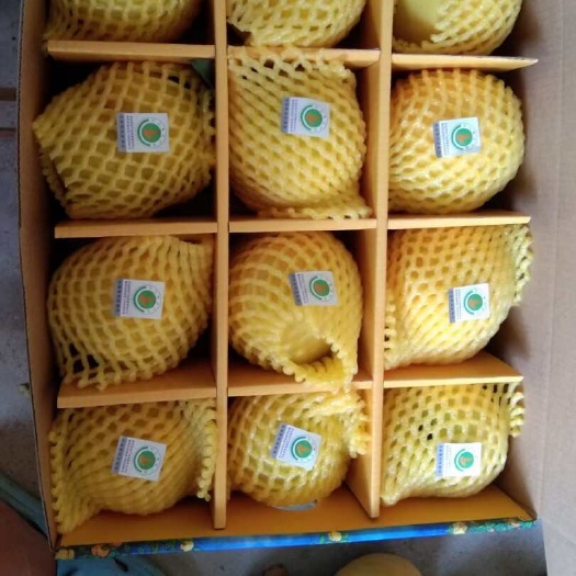 枣阳市黄金蜜桃
