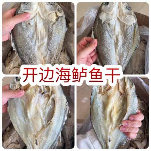 开边海鲈鱼干 展会地摊电商开边海鲈鱼干鲈鱼干鱼片鱼肉鱼条干