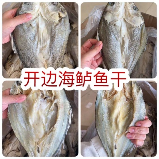 佛山开边海鲈鱼干 展会地摊电商开边海鲈鱼干鲈鱼干鱼片鱼肉鱼条干