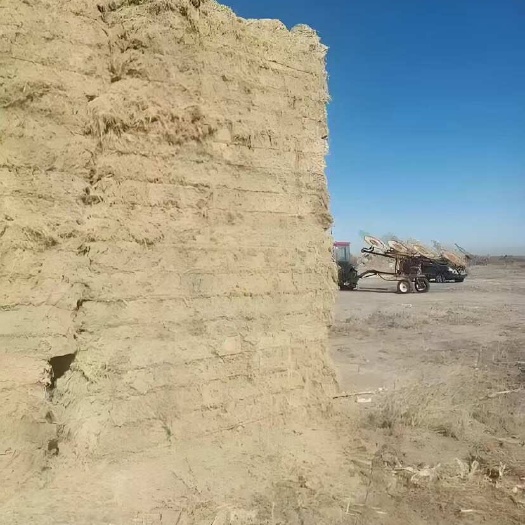 荆门治沙稻草