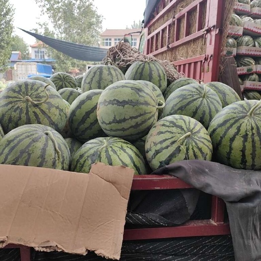 通许县美都  8424 产地直发。质量保证，货源充足。