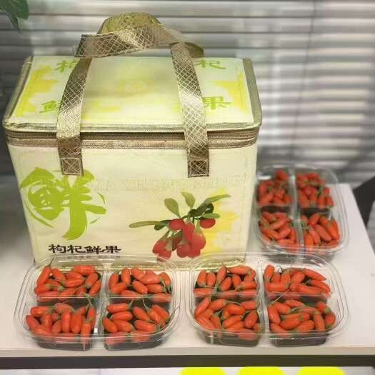中宁县新鲜枸杞鲜果现摘现发宁夏枸杞保温袋装精致美观510克
