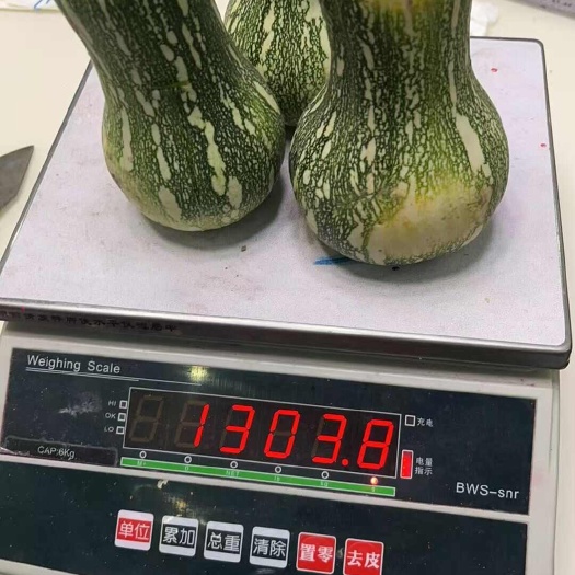水果南瓜