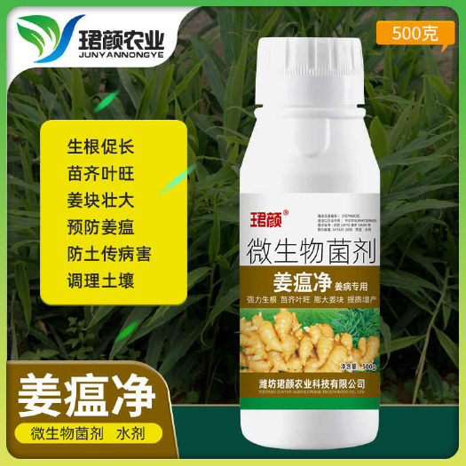 长沙姜瘟净姜瘟专用姜瘟清生姜大姜干尖黄叶烂脖子茎基腐菌助