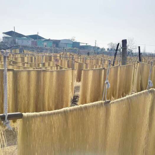 禹州市木薯淀粉粉条批发 河南禹州厂家直销 可电商代发