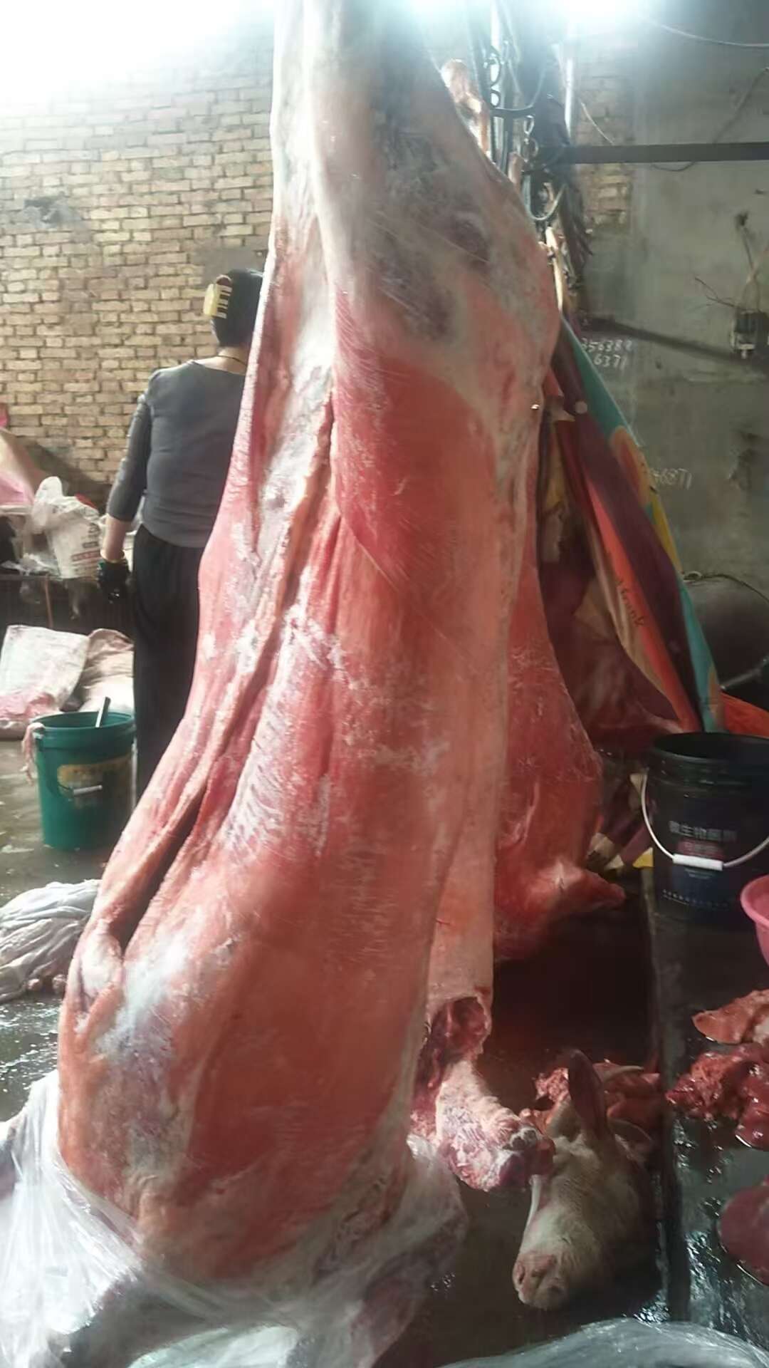 内蒙鲜冻羊酮体去皮，白条羊，羊腔子，烤全羊规格齐全纯干货