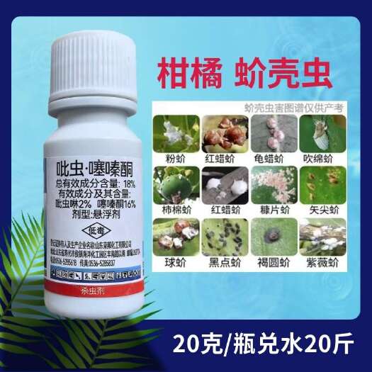 杀扑介10%吡虫噻嗪酮果树高氯蚧壳虫农药杀虫剂