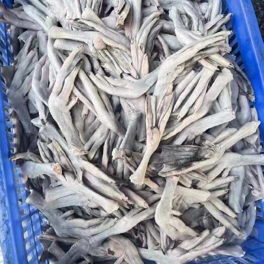 佛山黑棕鹅鹅掌