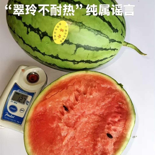 北海广西北海翠玲，大棚种植的优选品种，甜度高，形状漂亮产地直发