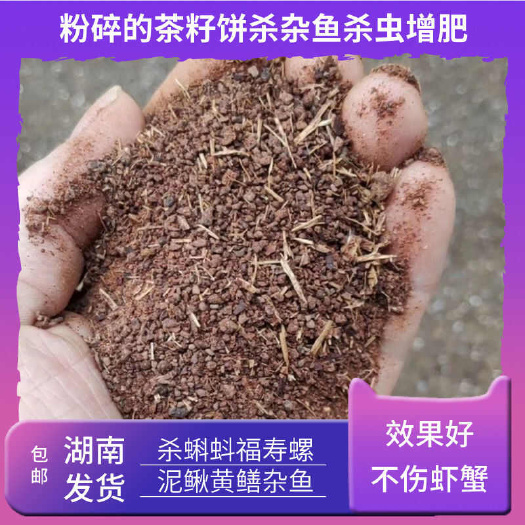 耒阳市(包邮)厂家直销茶粕茶籽粉茶麸茶杂鱼不伤虾蟹肥水清塘茶皂素