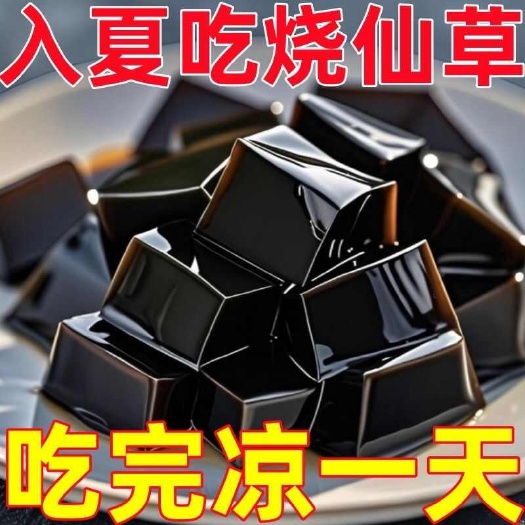 五常市免煮烧仙草粉黑白凉粉仙草冻粉奶茶店专用配料家用果冻