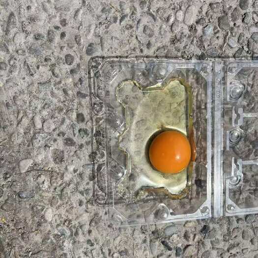 北京粉蛋 红心 富硒双色 大柴北京可配送