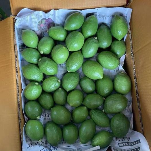 深圳香水柠檬