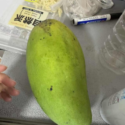 广州芒果