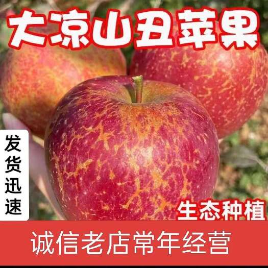 盐源县四川盐源丑苹果小果当季新鲜红将军整箱一件代发