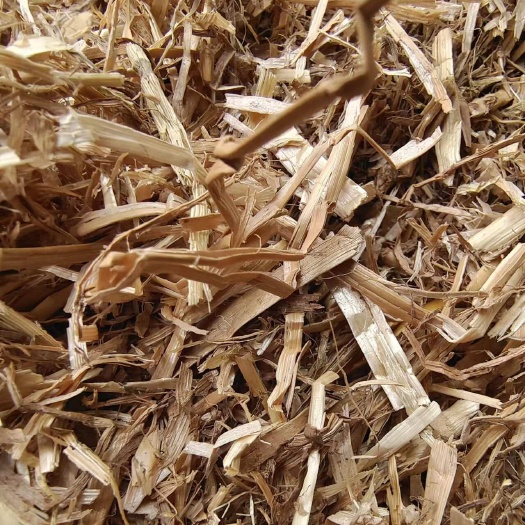 上蔡县小麦秸秆