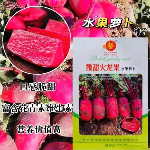 豫艺水果萝卜种子豫甜火龙果红心萝卜种子脆甜多汁凤梨萝卜种孑