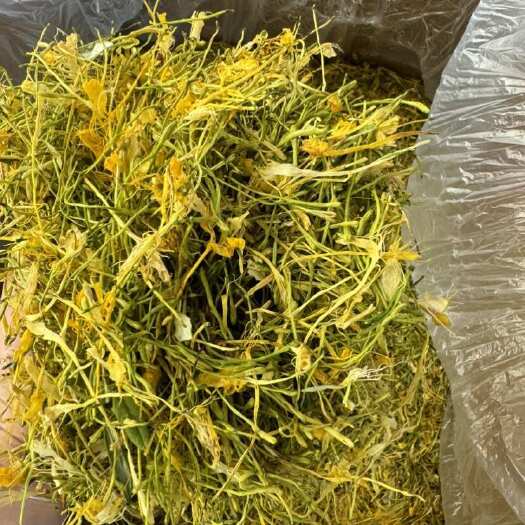银花四川五彩花开花银花新货