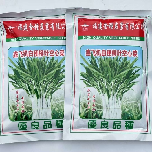 宿迁鑫飞机白梗柳叶空心菜种子 四季白梗柳叶甜菜空心菜种子