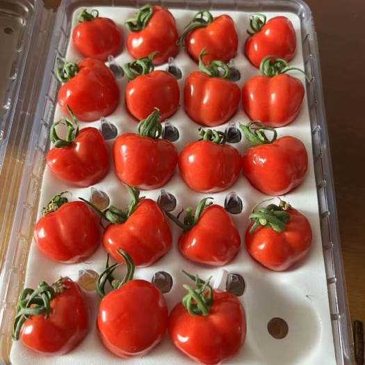 高端冰淇淋小番茄樱桃小番茄一件代发