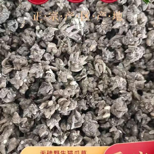河南信阳猫爪草中药材 干燥根茎 品质优 淮滨县直发