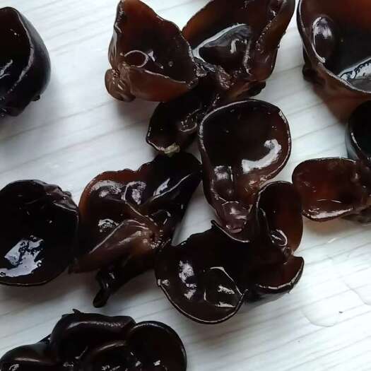 海林市东北黑木耳今年新货头茬