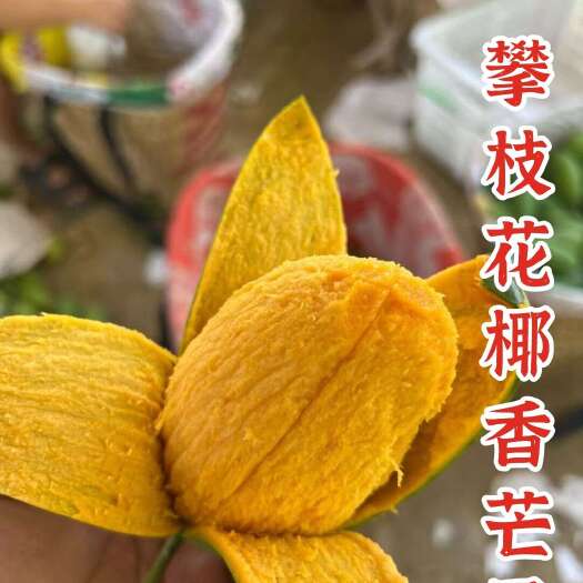 攀枝花椰香芒果一件代发