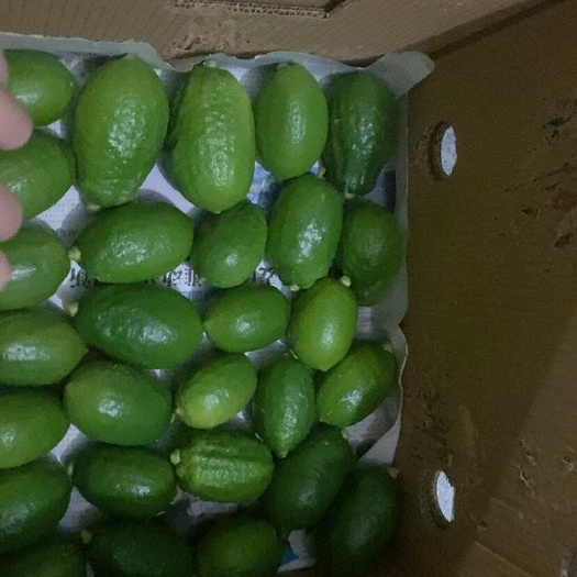 新丰县广东无籽香水柠檬现摘现卖大量现货奶茶直供农家直销，奶茶店，