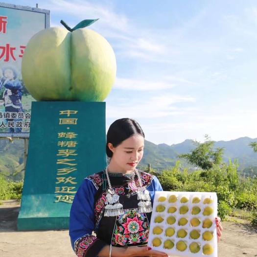 镇宁县蜂糖李
